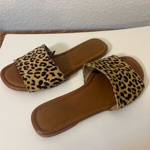 Torrid Leopard Print Slide Sandals Women’s 10W Brown‎ Flat Slip-On Wide